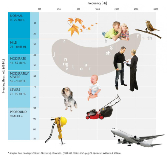 Hearing Loss Explained